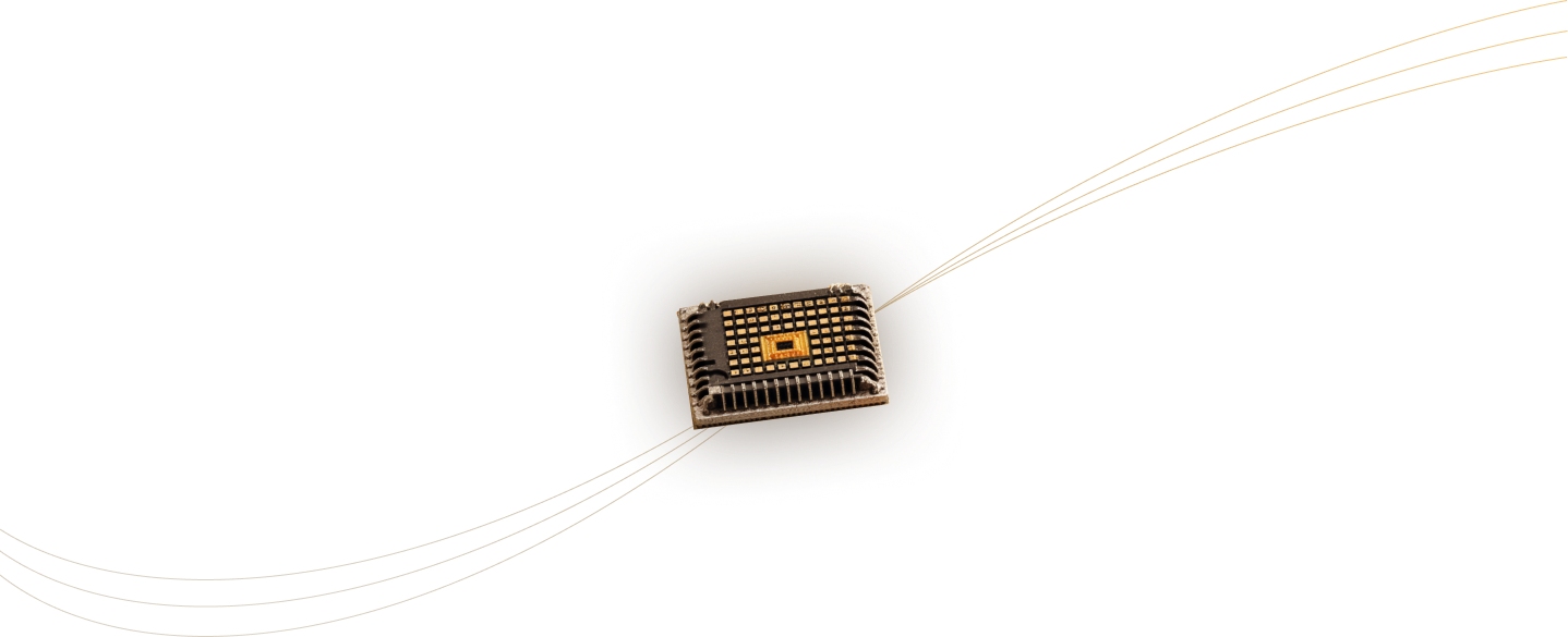 Microchip illustration