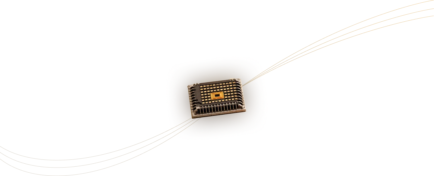 Microchip illustration